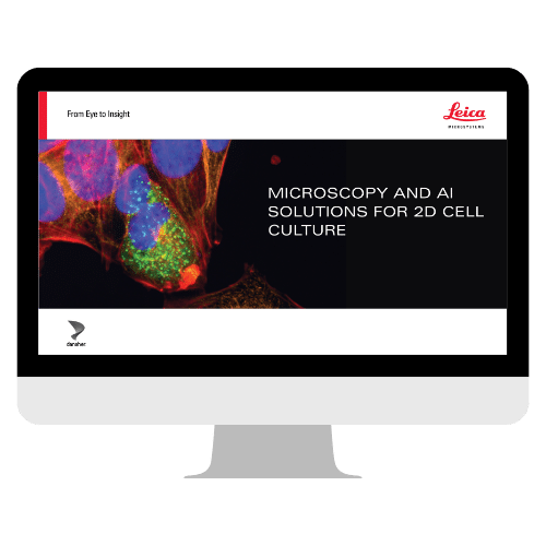 Microscopy and AI Solutions for 2D Cell Culture