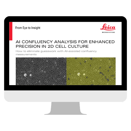 AI Confluency Analysis of 2D Cell Culture